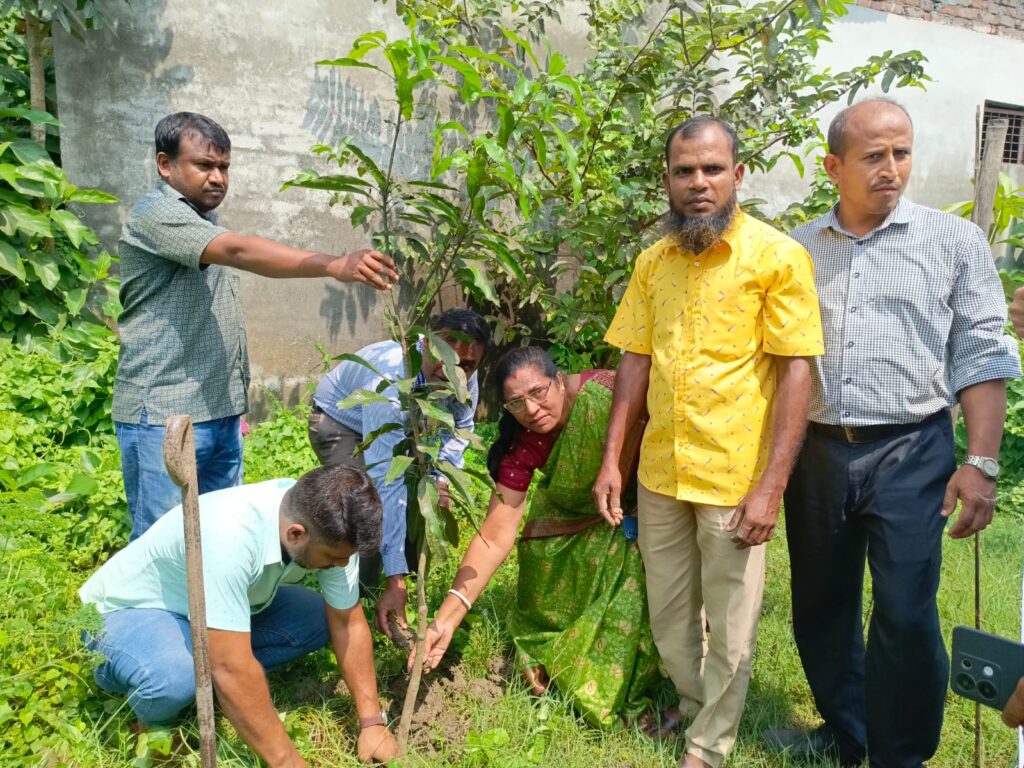 বৃক্ষরোপন 3