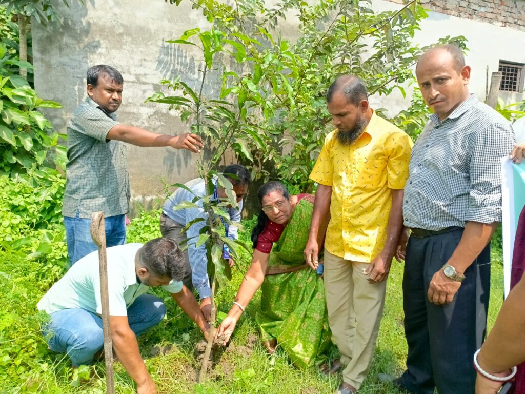 বৃক্ষরোপন 4